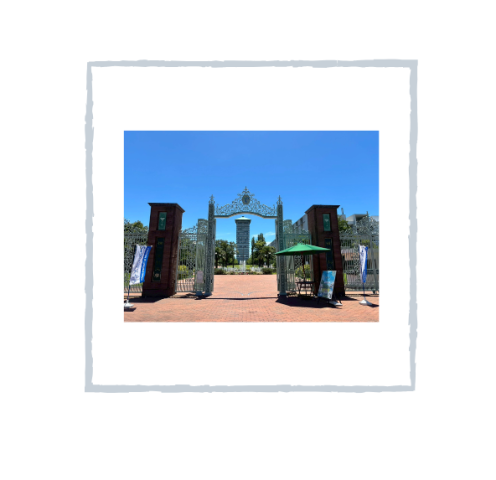 横浜薬科大生！必見！！